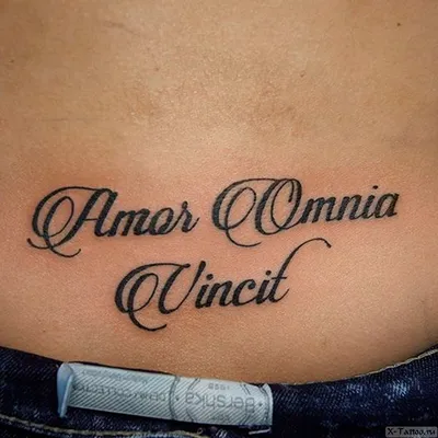 Татуировки на латыни и их значения - все, что нужно знать - tattopic.ru