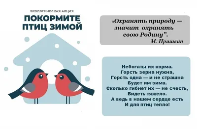 Покормите птиц зимой — Дополнительное образование детей Тамбовской области