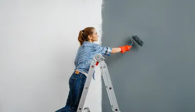 Как подобрать модные цвета для стен, идеи покраски стен для спальни, дизайн  кухни | Новости Украины | LIGA.net
