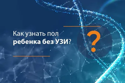 УЗИ плода 2 триместра в Городце - МедЮнион