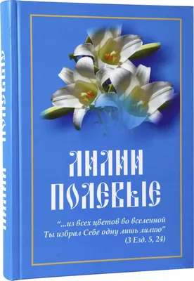 Лилия оранжевая 90-100см (поштучно) купить с доставкой в СПб