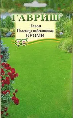 Полевица побегоносная Кроми купить в Москве, доставка почтой по России,  недорого в интернет-магазине, цены