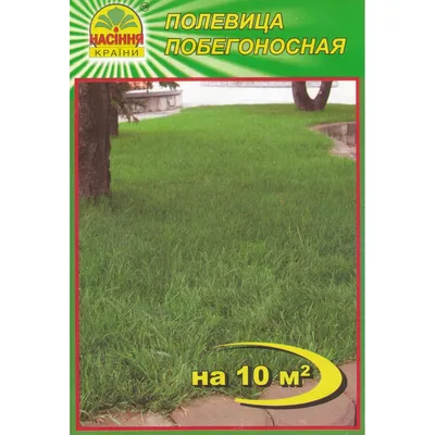 Полевица побегоносная