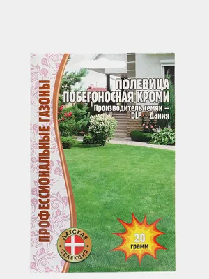 Полевица побегоносная. Плюсы и минусы газона из неё из личного опыта |  Хозяйка-барыня | Дзен
