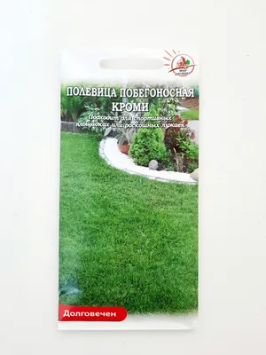 Полевица побегоносная (лат. Agróstis stolonífera) | TARBİGEM Türkiye Tarla  Bitkileri Üreticileri Merkez Birliği