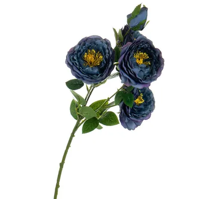Мастер-класс \"Скульптурная живопись — роза, пион, полевые цветы\" во  Владивостоке 31 марта 2019 в Фабрика Заря