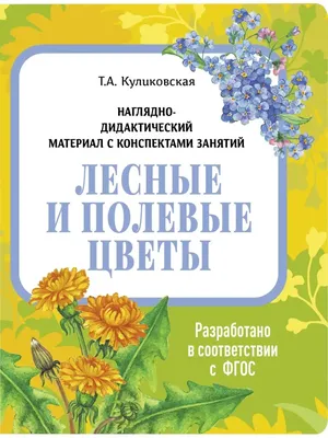Полевые цветы серии Spring gone and back (13 видов), декоративные семена  купить недорого