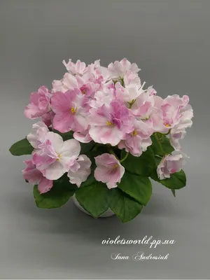 Полевые цветы в прозрачной вазе,…» — создано в Шедевруме