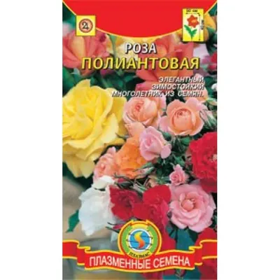Семена Роза полиантовая в Красноярске в Справочной уcлуг 2999999.ru