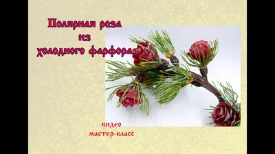 Купить Букет «Полярная ночь» за 6100 руб. в Домодедово - «Цветочный  по-другому»