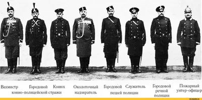 5 июня отмечается 305 лет со Дня образования российской полиции. / ОМВД  (новости) / Администрация Можайского городского округа