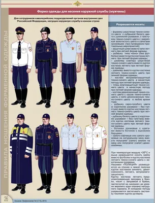 В России планируют расширить полномочия полиции | Новости Саратова и  области — Информационное агентство \"Взгляд-инфо\"