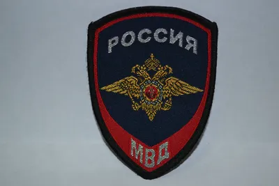 МВД утвердило порядок доставления нетрезвых граждан в медвытрезвители -  Российская газета