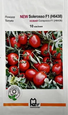 Семена томатов (помидор) Солероссо F1 (Solerosso F1) купить в Украине -  Komirnyk