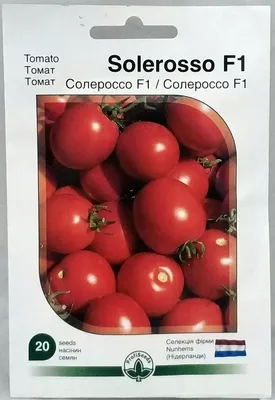Купить Семена - Томат Солероссо F1, Hem Zaden (Нидерланды), 20 шт. ❱❱  Колибри-маркет ❰❰❰