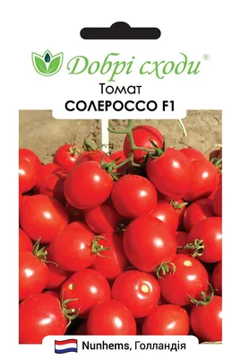 Семена томатов Солероссо F1 Nunhems Zaden 100 шт - купить в интернет  магазине Good Harvest