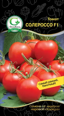 Томат Солероссо F1 кустовой : Nunhems Zaden - семена купить в Киеве,  Украине фото, отзывы, описание - Дачник