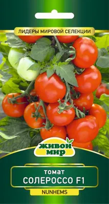 Продам помидор солероссо, купить помидор солероссо, Херсонская обл —  Agro-Ukraine