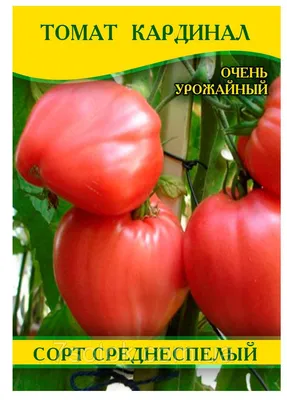 Купить Семена - Томат Кардинал, 0,1 г. ❱❱ ТД Дарвин ❰❰❰