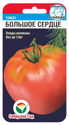 Всем томатам томат | Статьи журнала \"Сады и огороды Приморья\"