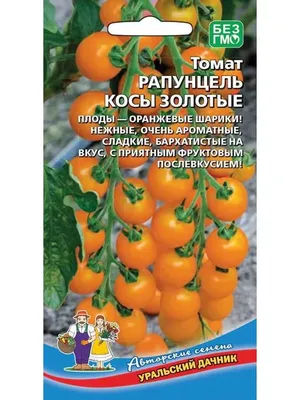 Томат Рапунцель косы золотые черри от Уральский дачник - «Это не Рапунцель  из сказки, это куст с шикарными черриками🍅» | отзывы