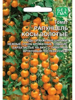 Сорт томатов Рапунцель: помидоры с длинными косами - Фермерский сайт