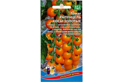Томат Рапунцель косы золотые черри от Уральский дачник - «Это не Рапунцель  из сказки, это куст с шикарными черриками🍅» | отзывы
