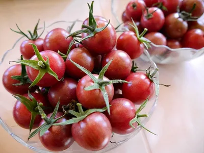 Рапунцель - Альбомы - tomat-pomidor.com