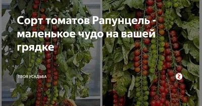 Открываем огородный сезон! / Мой Омутнинск
