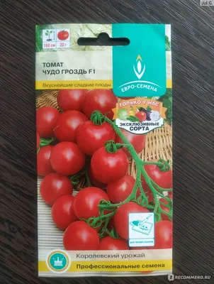 Семена томатов, урожайные сорта помидоров купить по лучшей цене, доставка  наложенным платежом по России
