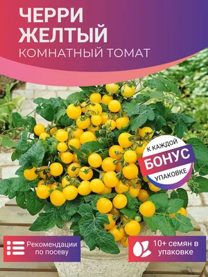 Селекционные семена высокорослых томатов, урожайные сорта индетерминантных  помидоров купить с доставкой