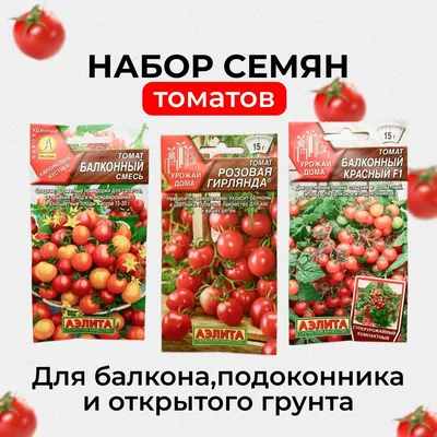 Семена томатов купить в каталоге интернет-магазина семян почтой 2020 года