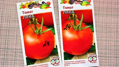 Семена томатов (помидор) Ляна купить в Украине | Веснодар