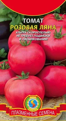 Семена овощей, цветов, трава газонная, семена оптом - ООО «Торговый Дом  «Украгровест»