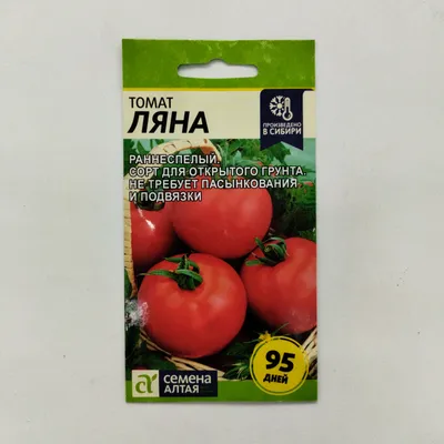 Семена помидоров лучшие сорта для открытого грунта - гибрид Ляна розовая F1  | Помидоры, Семена, Огород