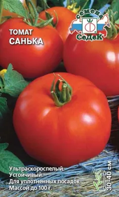 Семена томата сорт Ляна 0.5 кг (ID#1934187521), цена: 1372 ₴, купить на  Prom.ua