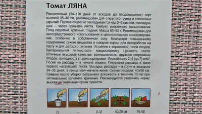 Купить Ляна томат 3 гр Семена Украины | Цена, фото и описание семян томата