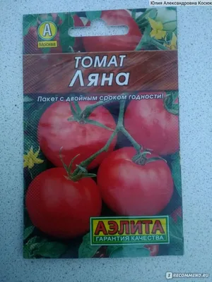 Купить семена Ляна томат 3 г. Vinel | Цена, фото и описание