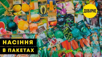 Купить Ляна томат 3 гр Семена Украины | Цена, фото и описание семян томата