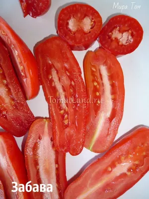 Мужское достоинство: описание сорта помидоров, характеристики томатов