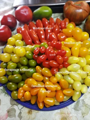 Он мне не нравится!\" – 7 спорных сортов томатов | На грядке (Огород.ru)