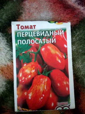 Любите помидоры? Рассказываем, как они влияют на наш организм и есть ли от  них польза