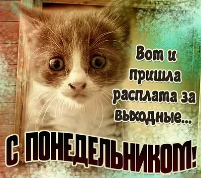 Понедельник - день тяжелый