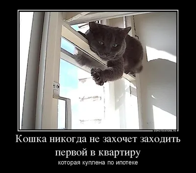 Понедельник - день тяжелый - Интеллектуальный юмор | Facebook