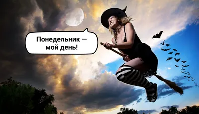 Понедельник день тяжёлый. | Вдова : жизнь продолжается | Дзен