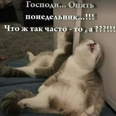 Понедельник - день тяжелый (1982) - YouTube