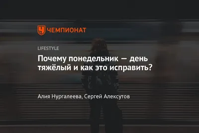 Понедельник - день тяжелый: еще не конец | Смехом по жизни. | Дзен