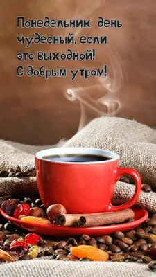Учёные объяснили, почему понедельник день тяжёлый и так трудно работать  после выходных - Чемпионат