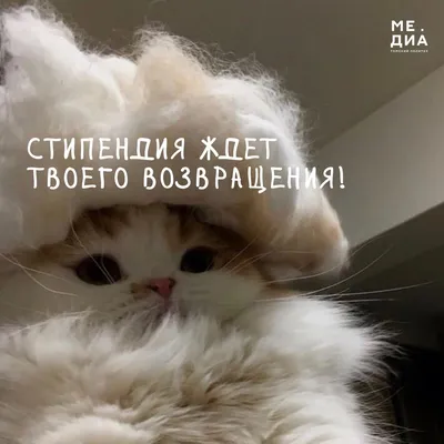 Васильев Аркадий - Понедельник - день тяжелый | Вопросов больше нет  (сборник), скачать бесплатно книгу в формате fb2, doc, rtf, html, txt
