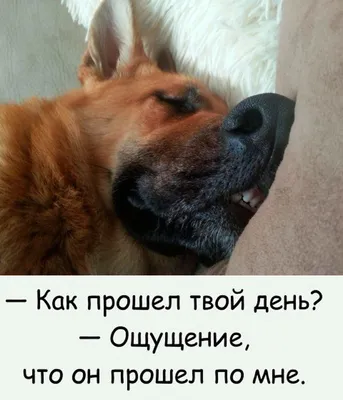 Понедельник — день тяжелый